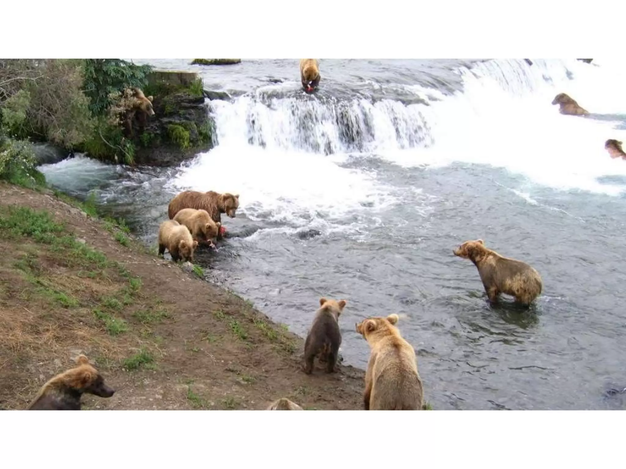 Why customer service is everyone's job