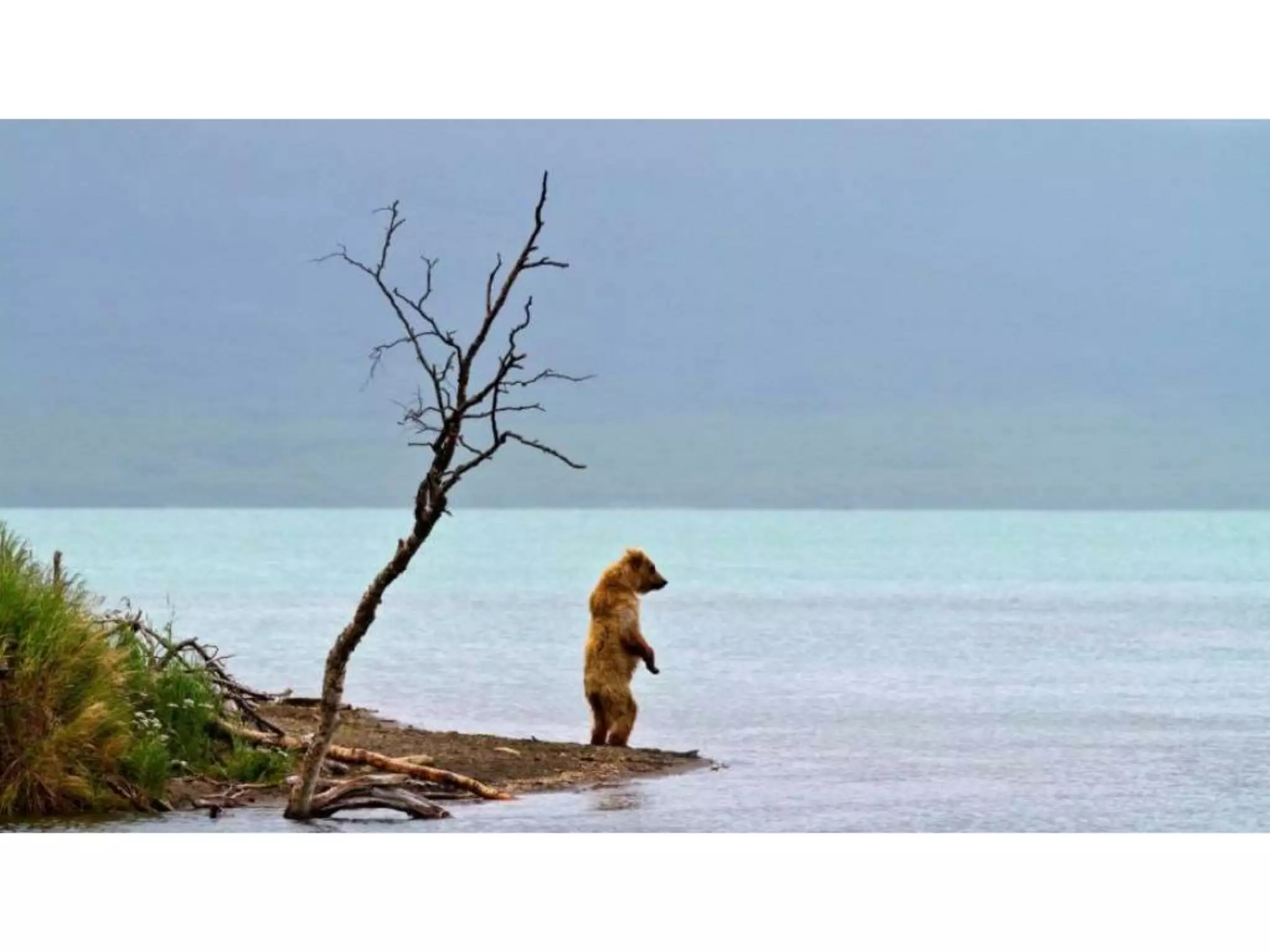 Why customer service is everyone's job