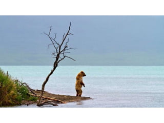 Why customer service is everyone's job