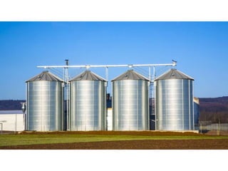 Why customer service is everyone's job