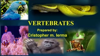 VERTEBRATES
Prepared by:
Cristopher m. lerma
 