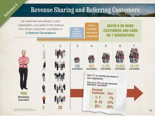 Melaleuca Business Overview