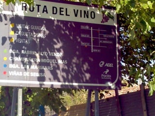 Turismo del vino en San Juan