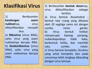 Klasifikasi Virus
1) Berdasarkan
kandungan asam
nukleatnya, virus
diklasifikasikan menjadi
dua.
a) Ribovirus (virus RNA),
yaitu virus yang asam
nukleatnya berupa RNA.
b) Deoksiribovirus (virus
DNA), yaitu virus yang
asam nukleatnya berupa
DNA.
2) Berdasarkan bentuk dasarnya,
virus diklasifikasikan sebagai
berikut.
a) Virus bentuk ikosahedral :
bentuk tata ruang yang dibatasi
oleh 20 segitiga sama sisi dengan
sumbu rotasi ganda.
b) Virus bentuk helikal:
menyerupai batang panjang,
nukleokapsidnya tidak kaku,
berbentuk heliks, dan memiliki
satu sumbu rotasi.
c) Virus bentuk kompleks: Struktur
yang amat kompleks dan pada
umumnya lebih lengkap dibanding
dengan virus lainnya.
 