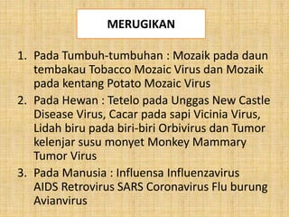 1. Pada Tumbuh-tumbuhan : Mozaik pada daun
tembakau Tobacco Mozaic Virus dan Mozaik
pada kentang Potato Mozaic Virus
2. Pada Hewan : Tetelo pada Unggas New Castle
Disease Virus, Cacar pada sapi Vicinia Virus,
Lidah biru pada biri-biri Orbivirus dan Tumor
kelenjar susu monyet Monkey Mammary
Tumor Virus
3. Pada Manusia : Influensa Influenzavirus
AIDS Retrovirus SARS Coronavirus Flu burung
Avianvirus
MERUGIKAN
 