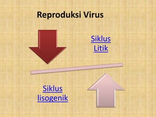 Reproduksi Virus
Siklus
Litik
Siklus
lisogenik
 