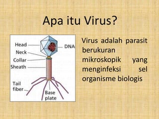 Apa itu Virus?
Virus adalah parasit
berukuran
mikroskopik yang
menginfeksi sel
organisme biologis
 