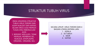 PPT VIRUS.pptx