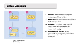Awonima Virus Anjayani Kenapa Kamu Say.pptx