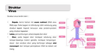 Awonima Virus Anjayani Kenapa Kamu Say.pptx