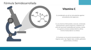 Gulono Qué es la Vitamina C y cual es su importancia | PDF