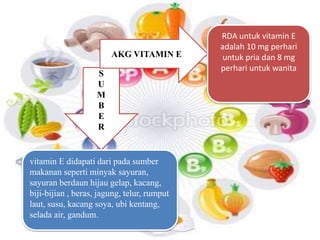 S 
U 
M 
B 
E 
R 
AKG VITAMIN E 
vitamin E didapati dari pada sumber 
makanan seperti minyak sayuran, 
sayuran berdaun hijau gelap, kacang, 
biji-bijian , beras, jagung, telur, rumput 
laut, susu, kacang soya, ubi kentang, 
selada air, gandum. 
RDA untuk vitamin E 
adalah 10 mg perhari 
untuk pria dan 8 mg 
perhari untuk wanita 
 
