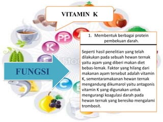 VITAMIN K 
FUNGSI 
1. Membentuk berbagai protein 
pembekuan darah. 
Seperti hasil penelitian yang telah 
dilakukan pada sebuah hewan ternak 
yaitu ayam yang diberi makan diet 
bebas-lemak. Faktor yang hilang dari 
makanan ayam tersebut adalah vitamin 
K, sementaramakanan hewan ternak 
mengandung dikumarol yaitu antagonis 
vitamin K yang digunakan untuk 
mengurangi koagulasi darah pada 
hewan ternak yang beresiko mengalami 
trombosit. 
 