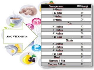AKG VITAMIN K 
 