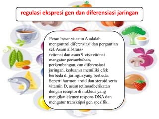 regulasi ekspresi gen dan diferensiasi jaringan 
Peran besar vitamin A adalah 
mengontrol diferensiasi dan pergantian 
sel. Asam all-trans-retionat 
dan asam 9-cis-retionat 
mengatur pertumbuhan, 
perkembangan, dan diferensiasi 
jaringan, keduanya memiliki efek 
berbeda di jaringan yang berbeda. 
Seperti hormon tiroid dan steroid serta 
vitamin D, asam retinoadberikatan 
dengan reseptor di nukleus yang 
mengikat elemen respons DNA dan 
mengatur transkripsi gen spesifik. 
 