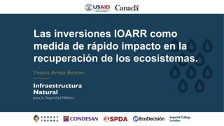 Las inversiones IOARR como
medida de rápido impacto en la
recuperación de los ecosistemas.
Yessica Armas Benites
 