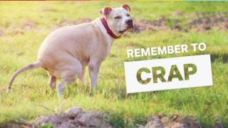 CONFIDENTIAL & PROPRIETARY
 