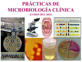 PRÁCTICAS DE
MICROBIOLOGÍA CLÍNICA
(CURSO 2012–2013)
 