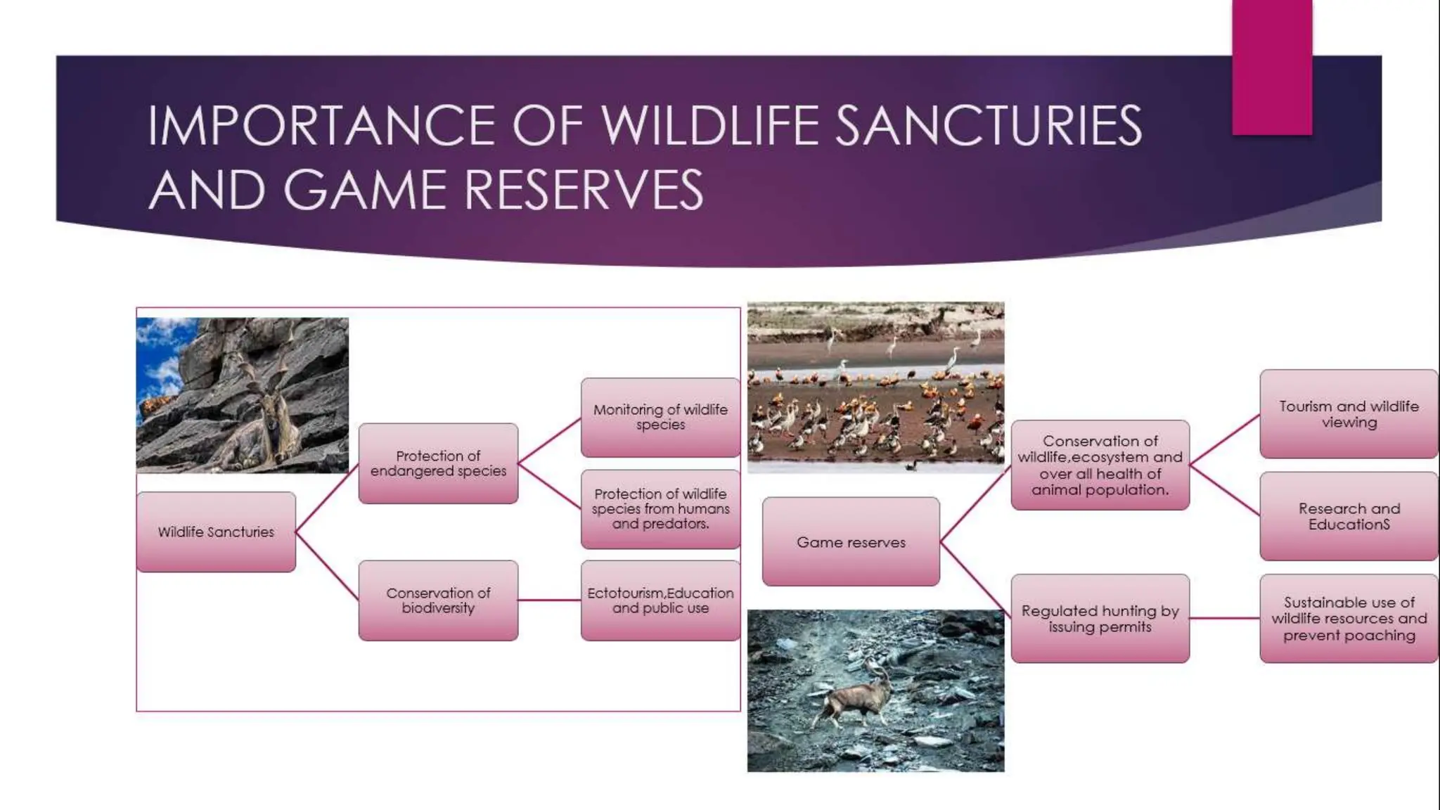 national-parks-wildlife-sanctuaries-game-reserves-wetland-of