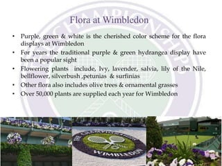 Flora at Wimbledon
• Purple, green & white is the cherished color scheme for the flora
displays at Wimbledon
• For years the traditional purple & green hydrangea display have
been a popular sight
• Flowering plants include, Ivy, lavender, salvia, lily of the Nile,
bellflower, silverbush ,petunias & surfinias
• Other flora also includes olive trees & ornamental grasses
• Over 50,000 plants are supplied each year for Wimbledon
 