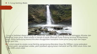  5. Curug Genting ,Blado

Curug ini berlokasi disesa bawang kec. Blado kab. Batang. Curug genting memiliki ketinggian 40meter dan
dikelilingi hutan pinus. Wana wisata ini berada di petak 49derajat hutan lindung tertutup RPHkembang
langit. Ketika berkunjung kesana kita akan disugguhkan hamparan hutan pinus yang sejuk dan bagus
untuk spot foto.
 untuk masuk ke wisata curug Genting, pengunjung dikenakan biaya Rp 5000per orang sedangkan
untuk parkir, pengelolaan wisata, yakni pokdawis agung lestari mematok tarif Rp 2000 untuk motor dan
Rp 5000 untuk mobil
 