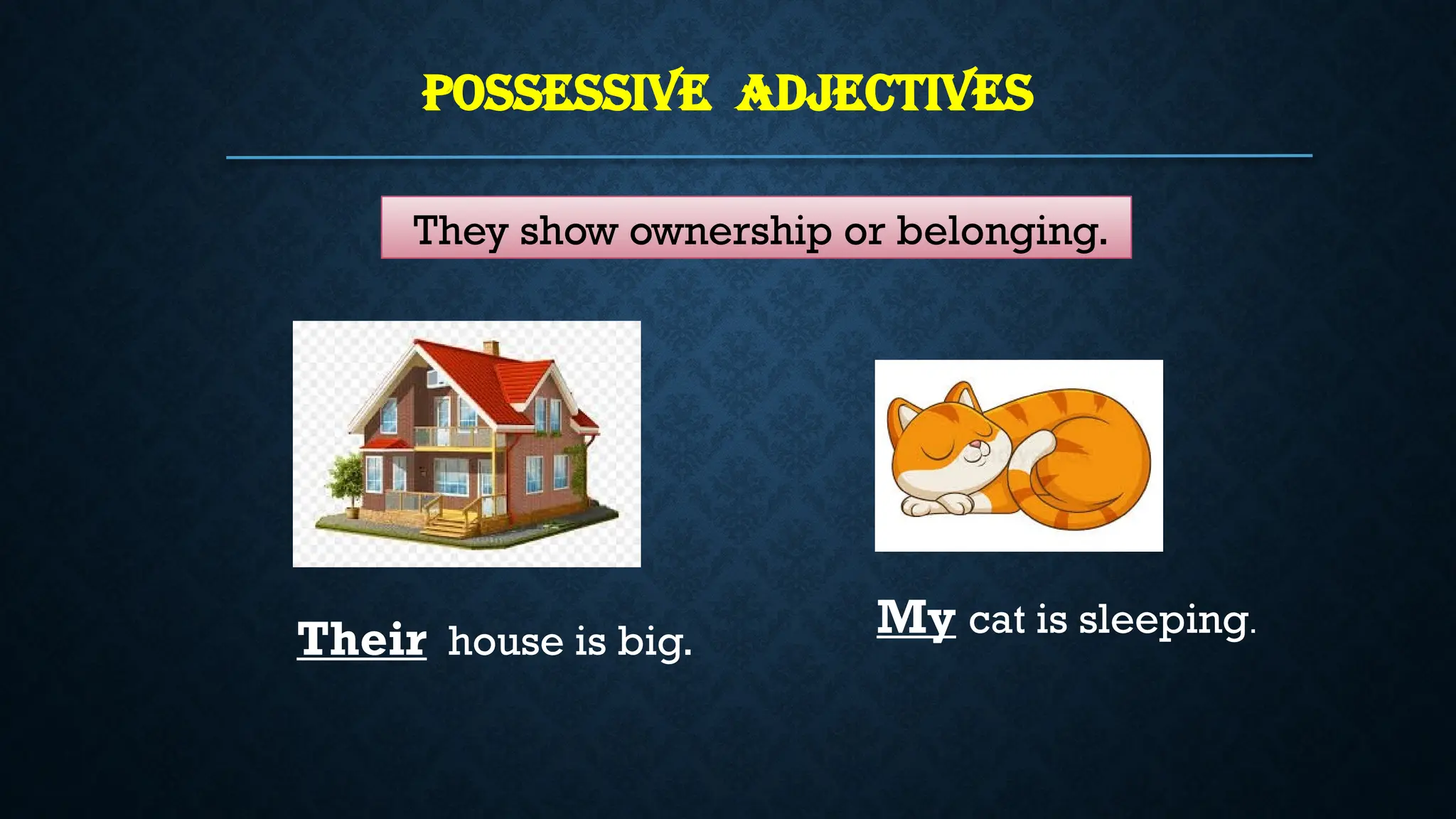 POSSESSIVE ADJECTIVES
They show ownership or belonging.
Their house is big.
My cat is sleeping.
 