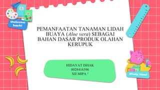 HIDAYAT ISHAK
0028416396
XII MIPA ²
PEMANFAATAN TANAMAN LIDAH
BUAYA (Aloe vera) SEBAGAI
BAHAN DASAR PRODUK OLAHAN
KERUPUK
 