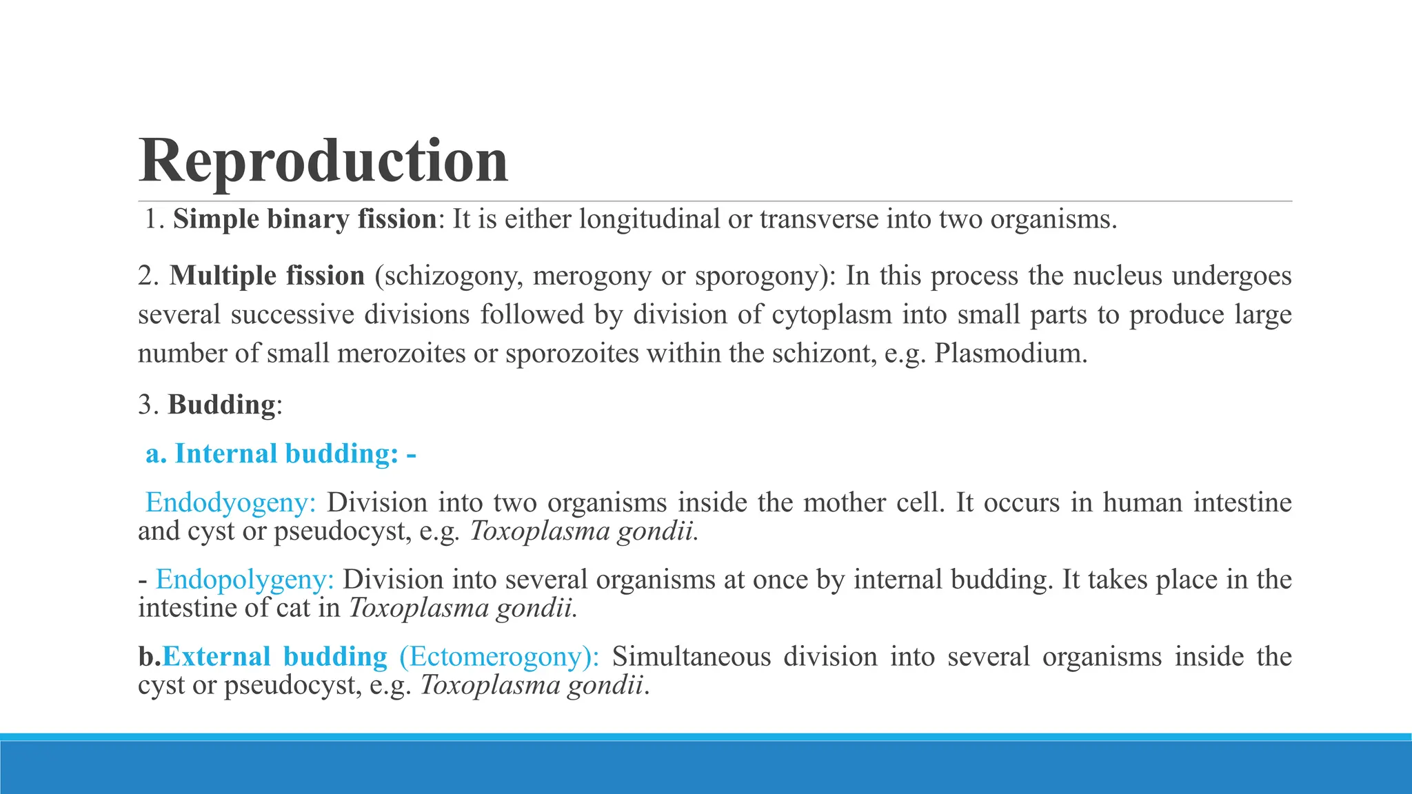 Reproduction
1. Simple binary fission: It is either longitudinal or transverse into two organisms.
2. Multiple fission (schizogony, merogony or sporogony): In this process the nucleus undergoes
several successive divisions followed by division of cytoplasm into small parts to produce large
number of small merozoites or sporozoites within the schizont, e.g. Plasmodium.
3. Budding:
a. Internal budding: -
Endodyogeny: Division into two organisms inside the mother cell. It occurs in human intestine
and cyst or pseudocyst, e.g. Toxoplasma gondii.
- Endopolygeny: Division into several organisms at once by internal budding. It takes place in the
intestine of cat in Toxoplasma gondii.
b.External budding (Ectomerogony): Simultaneous division into several organisms inside the
cyst or pseudocyst, e.g. Toxoplasma gondii.
 