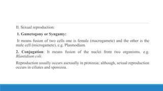II. Sexual reproduction:
1. Gametogony or Syngamy:
It means fusion of two cells one is female (macrogamete) and the other is the
male cell (microgamete), e.g. Plasmodium.
2. Conjugation: It means fusion of the nuclei from two organisms. e.g.
Blantidium coli.
Reproduction usually occurs asexually in protozoa; although, sexual reproduction
occurs in ciliates and sporozoa.
 