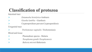 Classification of protozoa
Intestinal tract
 Entamoeba histolytica-Ambiasis
 Giardia lamblia - Giardiasis
 Cryptosporidium parvum-Cryptosporidiosis
Urogenital tract
 Trichomonas vaginalis- Trichomoniasis
Blood and tissue
 Plasmodium species –Malaria
 Toxoplasma gondii-Toxoplasmosis
 Babesia microti-Babesiosis
 