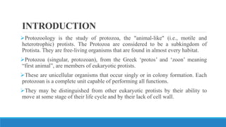 INTRODUCTION
Protozoology is the study of protozoa, the "animal-like" (i.e., motile and
heterotrophic) protists. The Protozoa are considered to be a subkingdom of
Protista. They are free-living organisms that are found in almost every habitat.
Protozoa (singular, protozoan), from the Greek ‘protos’ and ‘zoon’ meaning
“first animal”, are members of eukaryotic protists.
These are unicellular organisms that occur singly or in colony formation. Each
protozoan is a complete unit capable of performing all functions.
They may be distinguished from other eukaryotic protists by their ability to
move at some stage of their life cycle and by their lack of cell wall.
 