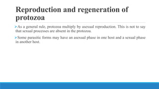 Reproduction and regeneration of
protozoa
As a general rule, protozoa multiply by asexual reproduction. This is not to say
that sexual processes are absent in the protozoa.
Some parasitic forms may have an asexual phase in one host and a sexual phase
in another host.
 