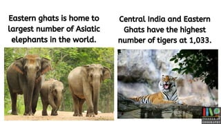 Eastern ghats is home to
largest number of Asiatic
elephants in the world.
Central India and Eastern
Ghats have the highest
number of tigers at 1,033.
 