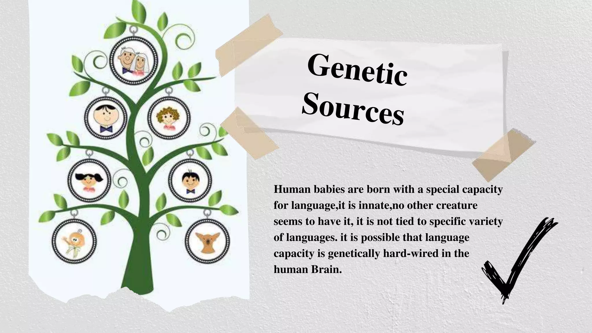 Human babies are born with a special capacity
for language,it is innate,no other creature
seems to have it, it is not tied to specific variety
of languages. it is possible that language
capacity is genetically hard-wired in the
human Brain.
 