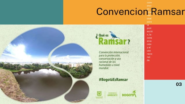 Convencion Ramsar (convenio Ramsar humedales y su importancia) | PPTX