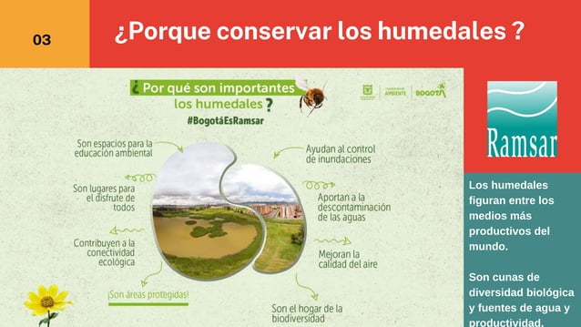 Convencion Ramsar (convenio Ramsar humedales y su importancia) | PPTX