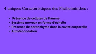 4 uniques Caractéristiques des Plathelminthes :
• Présence de cellules de flamme
• Système nerveux en forme d'échelle
• Présence de parenchyme dans la cavité corporelle
• Autofécondation
 