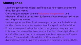 • Les monogènes sont un hôte spécifique et se nourrissent de poissons
d'eau douce et marins
• Chez quelques espèces comme Polystoma integerrimum, une
adaptation à l'habitat terrestre est également observée et peut exister en
tant que parasite interne.
• Les Monogènes semblent être incolores par rapport aux Turbellaires et
sont les plus anciens sur terre mais ont évolué à partir des Turbellaires.
• En réponse au parasite du poisson, les monogènes provoquent une
irritation et des lésions tissulaires, une rupture des cellules épithéliales et
une sécrétion excessive de mucus provoquant une hyperplasie. En plus
de cela, l'œdème des lamelles et des capillaires entraîne un
dysfonctionnement du système respiratoire et entraîne la mort de l'hôte.
 