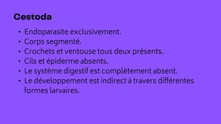 • Endoparasite exclusivement.
• Corps segmenté.
• Crochets et ventouse tous deux présents.
• Cils et épiderme absents.
• Le système digestif est complètement absent.
• Le développement est indirect à travers différentes
formes larvaires.
 