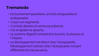 • Exclusivement parasitaire, à la fois ectoparasite et
endoparasite.
• Corps non segmenté.
• Crochets absents et ventouse présente.
• Cils et épiderme absents.
• Le système digestif comprend la bouche, le pharynx et
l'intestin.
• Le développement est direct chez l'ectoparasite.
Développement indirect chez l'ectoparasite incluant
différentes formes larvaires.
 