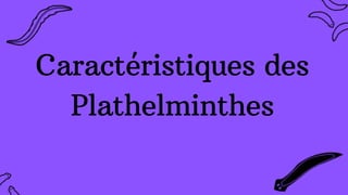 Caractéristiques des
Plathelminthes
 