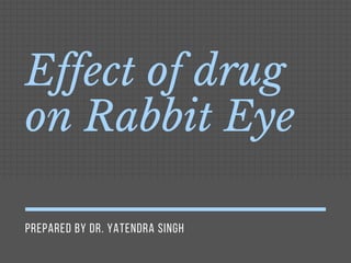 PREPARED BY DR. YATENDRA SINGH
Effect of drug
on Rabbit Eye
 