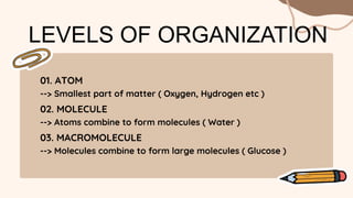 LEVELS OF ORGANIZATION
01. ATOM
--> Smallest part of matter ( Oxygen, Hydrogen etc )
02. MOLECULE
--> Atoms combine to form molecules ( Water )
03. MACROMOLECULE
--> Molecules combine to form large molecules ( Glucose )
 