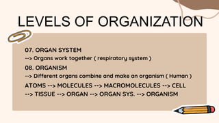 LEVELS OF ORGANIZATION
07. ORGAN SYSTEM
--> Organs work together ( respiratory system )
08. ORGANISM
--> Different organs combine and make an organism ( Human )
ATOMS --> MOLECULES --> MACROMOLECULES --> CELL
--> TISSUE --> ORGAN --> ORGAN SYS. --> ORGANISM
 