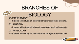 BRANCHES OF
BIOLOGY
01. MORPHOLOGY
--> It deals with study of external structures such as skin etc.
02. ANATOMY
--> It deals with study of internal structures such as lungs etc.
03. PHYSIOLOGY
--> It deals with study of function such as eyes are use to see.
 