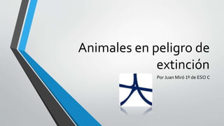 Animales en peligro de
extinción
Por Juan Miró 1º de ESO C
 