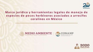 Marco jurídico y herramientas legales de manejo de
especies de peces herbívoros asociados a arrecifes
coralinos en México
 