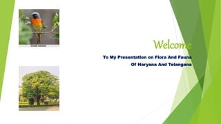 Welcome
To My Presentation on Flora And Fauna
Of Haryana And Telangana
 
