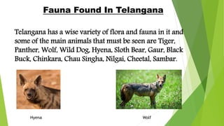Ppt on Flora and Fauna of Haryana and Telangana