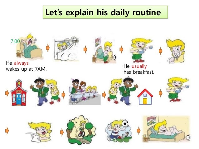 Daily Routine